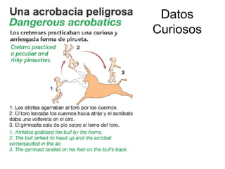 Datos Curiosos 