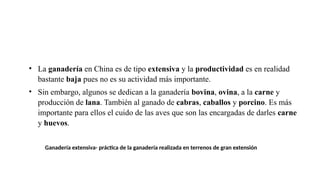 • La ganadería en China es de tipo extensiva y la productividad es en realidad
bastante baja pues no es su actividad más importante.
• Sin embargo, algunos se dedican a la ganadería bovina, ovina, a la carne y
producción de lana. También al ganado de cabras, caballos y porcino. Es más
importante para ellos el cuido de las aves que son las encargadas de darles carne
y huevos.
Ganadería extensiva- práctica de la ganadería realizada en terrenos de gran extensión
 