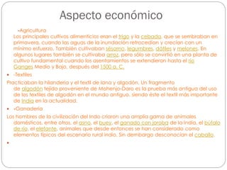 Aspecto económico
-Agricultura
Los principales cultivos alimenticios eran el trigo y la cebada, que se sembraban en
primavera, cuando las aguas de la inundación retrocedían y crecían con un
mínimo esfuerzo. También cultivaban sésamo, legumbres, dátiles y melones. En
algunos lugares también se cultivaba arroz, pero sólo se convirtió en una planta de
cultivo fundamental cuando los asentamientos se extendieron hasta el río
Ganges Medio y Bajo, después del 1500 a. C.


-Textiles

Practicaban la hilanderia y el textil de lana y algodón. Un fragmento
de algodón tejido proveniente de Mohenjo-Daro es la prueba más antigua del uso
de los textiles de algodón en el mundo antiguo, siendo éste el textil más importante
de India en la actualidad.


-Ganadería

Los hombres de la civilización del Indo criaron una amplia gama de animales
domésticos, entre otros, el asno, el buey, el ganado con joroba de la India, el búfalo
de río, el elefante, animales que desde entonces se han considerado como
elementos típicos del escenario rural indio. Sin dembargo desconocían el caballo.


 