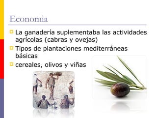 Economia 
 La ganadería suplementaba las actividades 
agrícolas (cabras y ovejas) 
 Tipos de plantaciones mediterráneas 
básicas 
 cereales, olivos y viñas 
 