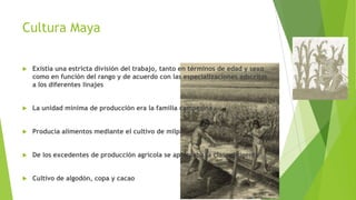 Cultura Maya


Existía una estricta división del trabajo, tanto en términos de edad y sexo
como en función del rango y de acuerdo con las especializaciones adscritas
a los diferentes linajes



La unidad mínima de producción era la familia campesina



Producía alimentos mediante el cultivo de milpa



De los excedentes de producción agrícola se apropiaba la clase dirigente



Cultivo de algodón, copa y cacao

 