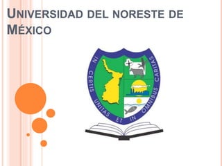 UNIVERSIDAD DEL NORESTE DE
MÉXICO
 