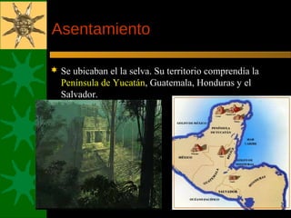 Asentamiento
 Se ubicaban el la selva. Su territorio comprendía la
Península de Yucatán, Guatemala, Honduras y el
Salvador.
 