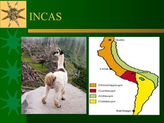 INCAS
 