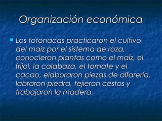 Organización económica
 