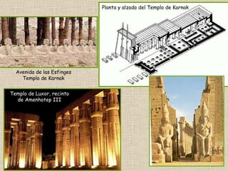 Planta y alzado del Templo de Karnak Avenida de las Esfinges Templo de Karnak Templo de Luxor, recinto de Amenhotep III 