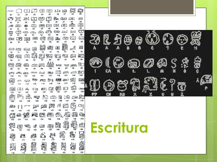 Civilizacion olmeca