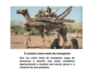 O camelo como meio de transporte Este era outro meio de transporte capaz de atravessar o deserto com maior resistência oportunizando o contato com outros povos e o comércio de seus produtos 