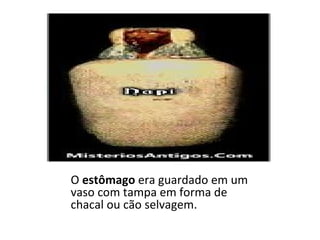 O  estômago  era guardado em um vaso com tampa em forma de chacal ou cão selvagem. IMSET O  fígado  ficava em um vaso com tampa em forma de cabeça humana. DUAMUTEF O  estômago  era guardado em um vaso com tampa em forma de chacal ou cão selvagem. KEBEHSENUEF Um vaso com a cabeça de falcão guardava os  intestinos . HAPI Os  pulmões  eram guardados em um vaso com cabeça de babuíno. 