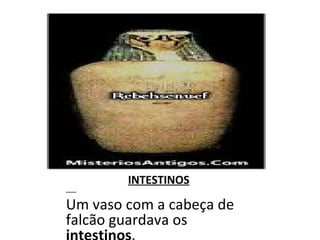 INTESTINOS KEBEHSENUEF Um vaso com a cabeça de falcão guardava os  intestinos . KEBEHSENUEF Um vaso com a cabeça de falcão guardava os  intestinos . HAPI Os  pulmões  eram guardados em um vaso com cabeça de babuíno. 