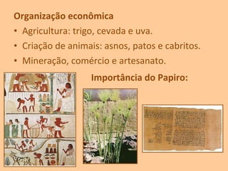 Organização econômica
• Agricultura: trigo, cevada e uva.
• Criação de animais: asnos, patos e cabritos.
• Mineração, comércio e artesanato.
Importância do Papiro:
 