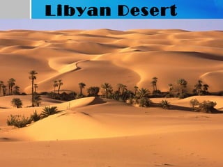 Libyan Desert
 