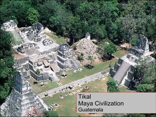 Tikal Maya Civilization Guatemala 