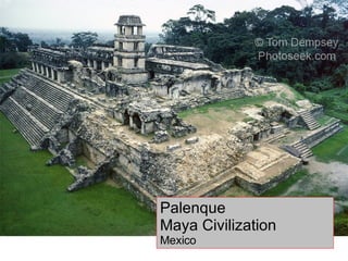 Palenque Maya Civilization Mexico 