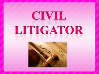 Civil Litigator 