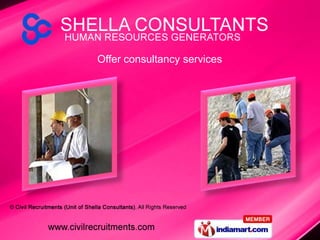 Offer consultancy services 