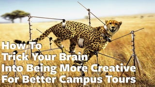 How To
Trick Your Brain
Into Being More Creative
For Better Campus Tours
 