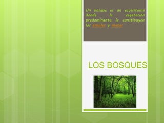LOS BOSQUES
Un bosque es un ecosistema
donde la vegetación
predominante la constituyen
los árboles y matas
 