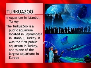  Aquarium in Istanbul,
Turkey
The TurkuaZoo is a
public aquarium
located in Bayrampaşa
in Istanbul, Turkey. It
was the first public
aquarium in Turkey,
and is one of the
largest aquariums in
Europe
 