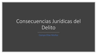 Consecuencias Jurídicas del
Delito
Campo Elias Muñoz
 