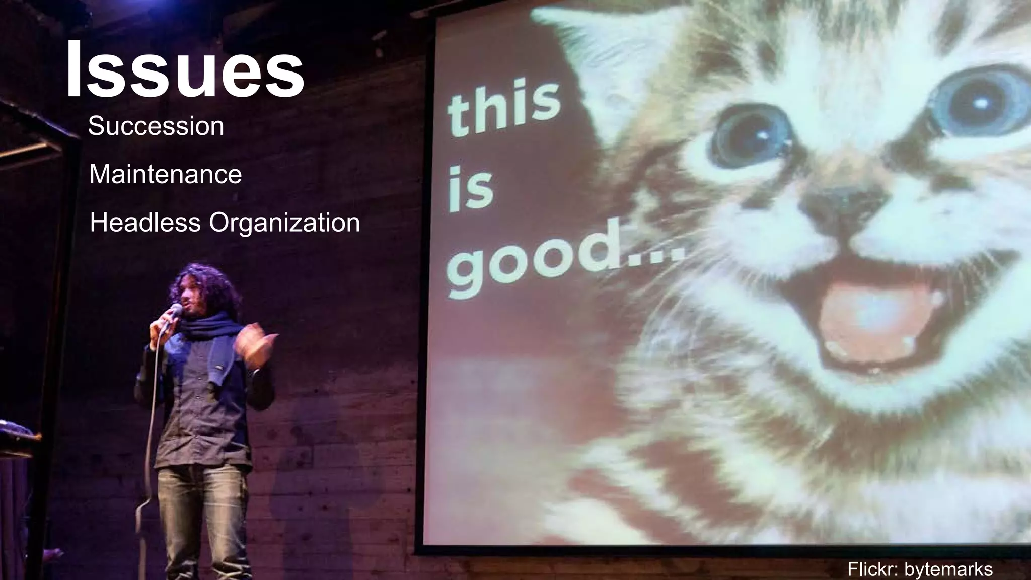 Flickr: bytemarks 
Issues 
Succession 
Maintenance 
Headless Organization  