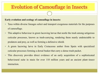 Early evolution and ecology of camouflage in insects:
 Taxa within diverse lineages select and transport exogenous materials for the purposes
of camouflage.
 This adaptive behaviour in green lacewing larvae that nestle the trash among setigerous
cuticular processes, known as trash-carrying, rendering them nearly undetectable to
predators and prey, as well as forming a defensive shield.
 A green lacewing larva in Early Cretaceous amber from Spain with specialized
cuticular processes forming a dorsal basket that carry a dense trash packet.
 This discovery provides direct evidence of an early acquisition of a sophisticated
behavioural suite in stasis for over 110 million years and an ancient plant–insect
interaction.
Evolution of Camouflage in Insects
 