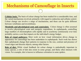 Cellular basis: The basis of colour change has been studied for a considerable time, and
the varied mechanisms involved, primarily with regard to endocrine and cellular control.
Colour change can involve a range of mechanisms, and these can be quite different
between vertebrates and invertebrates.
Metabolic and physiological costs and constraints: Colour change is often assumed
to involve physiological costs and energetic expenditure. In cephalopods, controlling
large numbers of chromatophore cells rapidly and in synchrony continuously over time
probably carries a cost that impacts on the individual's energy budget.
Role of visual pathways: Most work on how visual information drives change in
appearance for camouflage has been undertaken in cephalopods. Such work has shown
that cephalopods change their patterns in response to the size, contrast and presence of
visual edges and discrete objects, among other factors.
Role of diet: While visual feedback for colour change is undoubtedly important in
many species, a role of diet also exists in some groups, and likely often interacts with
vision. For example, diet is known to influence coloration in some spiders.
Mechanisms of Camouflage in Insects
 