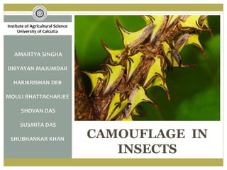 CAMOUFLAGE IN
INSECTS
Institute of Agricultural Science
University of Calcutta
 