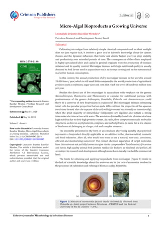Micro-Algal Bioproducts a Growing Universe
Leonardo Brantes Bacellar Mendes*
Petrobras Research and Development Center, Brazil
Editorial
Cultivating microalgae from relatively simple chemical compounds and incident sunlight
does not just require luck. It involves a great deal of scientific knowledge about the species
chosen and the dynamic influences that biotic and abiotic factors exert on crop stability
and productivity over extended periods of time. The consequences of the efforts employed
in highly specialized labor and capital in general originate from the production of biomass
obtained and its quality control. Microalgae biomass with high nutritional quality is usually
destined to feed larvae used in aquaculture such as shrimp farming and to the nutraceutical
market for human consumption.
In this context, the annual production of dry microalgae biomass in the world is around
20.000 tons / year, which is still small little compared to the world production of agricultural
products such as soybeans, sugar cane and corn that reach the levels of hundreds million tons
per year.
Besides the direct use of live microalgae in aquaculture with emphasis on the genera
Nannochloropsis, Chaetoceros and Thalassiosira or capsules for nutritional purpose with
predominance of the genera Arthrospira, Dunaliella, Chlorella and Haematococcus could
there be a universe of new bioproducts in expansion? The microalgae biomass containing
intact cells has peculiar properties that are quite different from the properties of the aqueous
emulsions formed after the rupture of the cell walls (promoted occasionally or intentionally)
when the great majority of intracellular components are exposed and initiate a strong
intermolecular interaction with water. The emulsions formed by hundreds of molecules have
high stability due to their high protein content. As a rule, their composition entails molecular
structures as diverse as phytosterols, enzymes, and carbohydrates, to name but a few classes
of biochemicals belonging to a larger, rich and complex universe..
The ensemble presented in the form of an emulsion after being suitably characterized
represents a bioproduct directly applicable as an additive in the pharmaceutical, cosmetic
and food industries. After all, who would not want to use a natural, non-toxic, consistent,
efficient and moisturizing sunscreen? The correct chemical separation of target molecules
from this universe not yet fully known can give rise to compounds of fine chemistry β-caroten
and lutein, high quality animal feed (protein residue) or biofuels as biodiesel and jet fuel. All
are subject to research and development although some have already reached the commercial
level.
The limits for obtaining and applying bioproducts from microalgae (Figure 1) reside in
the lack of scientific knowledge about this universe and in the lack of economics involved in
the processes of cultivation and refining of biomass-called biorrefine.
Figure 1: Mixture of carotenoids (a) and crude biodiesel (b) obtained from
Chlorella sp. Joint project between Petrobras - CENPES and the Federal
University of Rio de Janeiro – UFRJ.
Crimson Publishers
Wings to the Research
Editorial
*1
Corresponding author: Leonardo Brantes
Bacellar Mendes, Petrobras Research and
Development Center, Brazil
Submission: May 07, 2018
Published: May 16, 2018
Volume 2 - Issue 4
How to cite this article: Leonardo Brantes
Bacellar Mendes, Micro-Algal Bioproducts
a Growing Universe. Cohesive J Microbiol
Infect Dis. 2(4). CJMI.000545.2019.
DOI: 10.31031/CJMI.2019.02.000545
Copyright@ Leonardo Brantes Bacellar
Mendes, This article is distributed under
the terms of the Creative Commons
Attribution 4.0 International License,
which permits unrestricted use and
redistribution provided that the original
author and source are credited.
ISSN: 2578-0190
1
Cohesive Journal of Microbiology & Infectious Disease
 