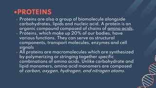 Structures and Functions of Biological Molecules Grade 11 Biology.pptx