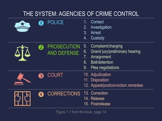 Criminal Justice Presentation | PPTX