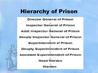 Hierarchy of Prison

 