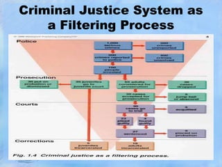 Criminal Justice System as
a Filtering Process

 