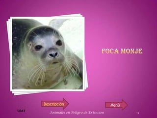 Descripción                           Menú
   Animales en Peligro de Extincion          13
 