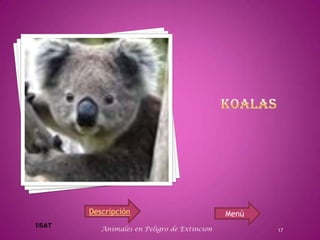 Descripción                           Menú
   Animales en Peligro de Extincion          17
 