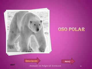 Descripción                           Menú
   Animales en Peligro de Extincion          19
 