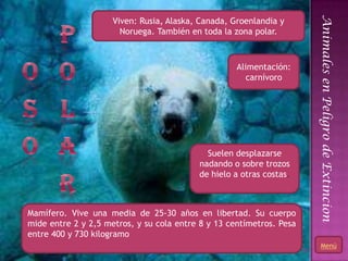 Animales en Peligro de Extincion
                     Viven: Rusia, Alaska, Canada, Groenlandia y
                       Noruega. También en toda la zona polar.



                                                    Alimentación:
                                                       carnívoro




                                            Suelen desplazarse
                                          nadando o sobre trozos
                                          de hielo a otras costas.



Mamífero. Vive una media de 25-30 años en libertad. Su cuerpo
mide entre 2 y 2,5 metros, y su cola entre 8 y 13 centímetros. Pesa
entre 400 y 730 kilogramo
                                                                              Menú
                                                                      20
 