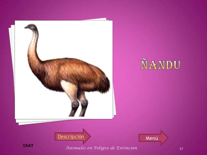 animales en extension