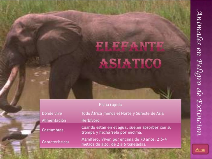 animales en extension