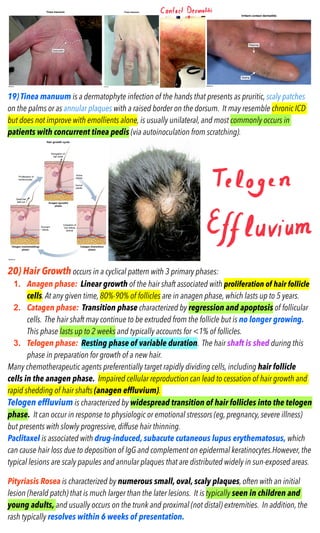 CK-DERMATOLOGY-2022 CK-DERMATOLOGY-2022.pdf