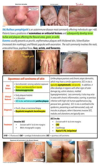 CK-DERMATOLOGY-2022 CK-DERMATOLOGY-2022.pdf