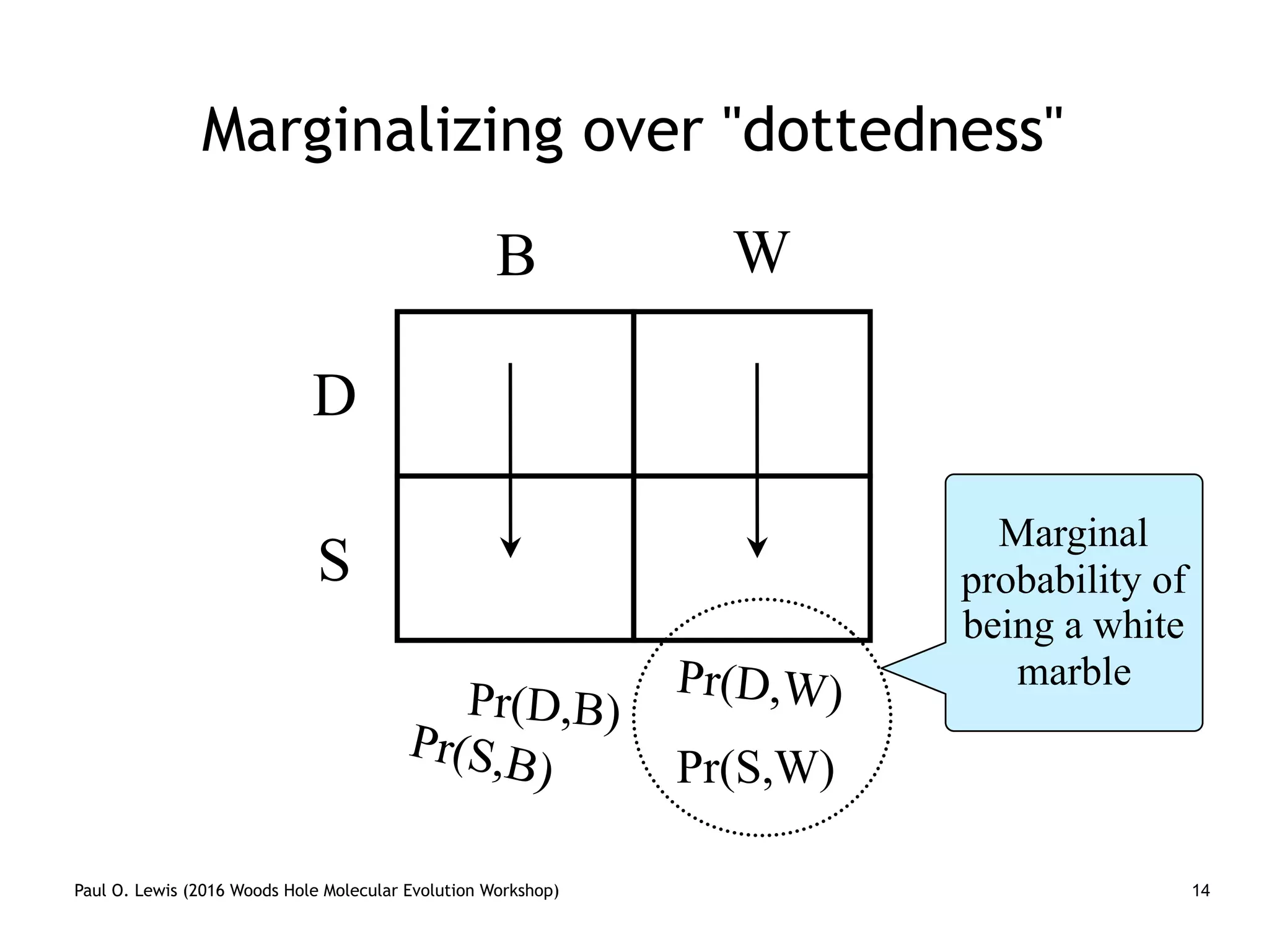 Paul O. Lewis (2016 Woods Hole Molecular Evolution Workshop)
Marginalizing over "dottedness"
14
B W
Pr(D,B)
D
S
Pr(S,B) Pr(S,W)
Pr(D,W)
Marginal
probability of
being a white
marble
 