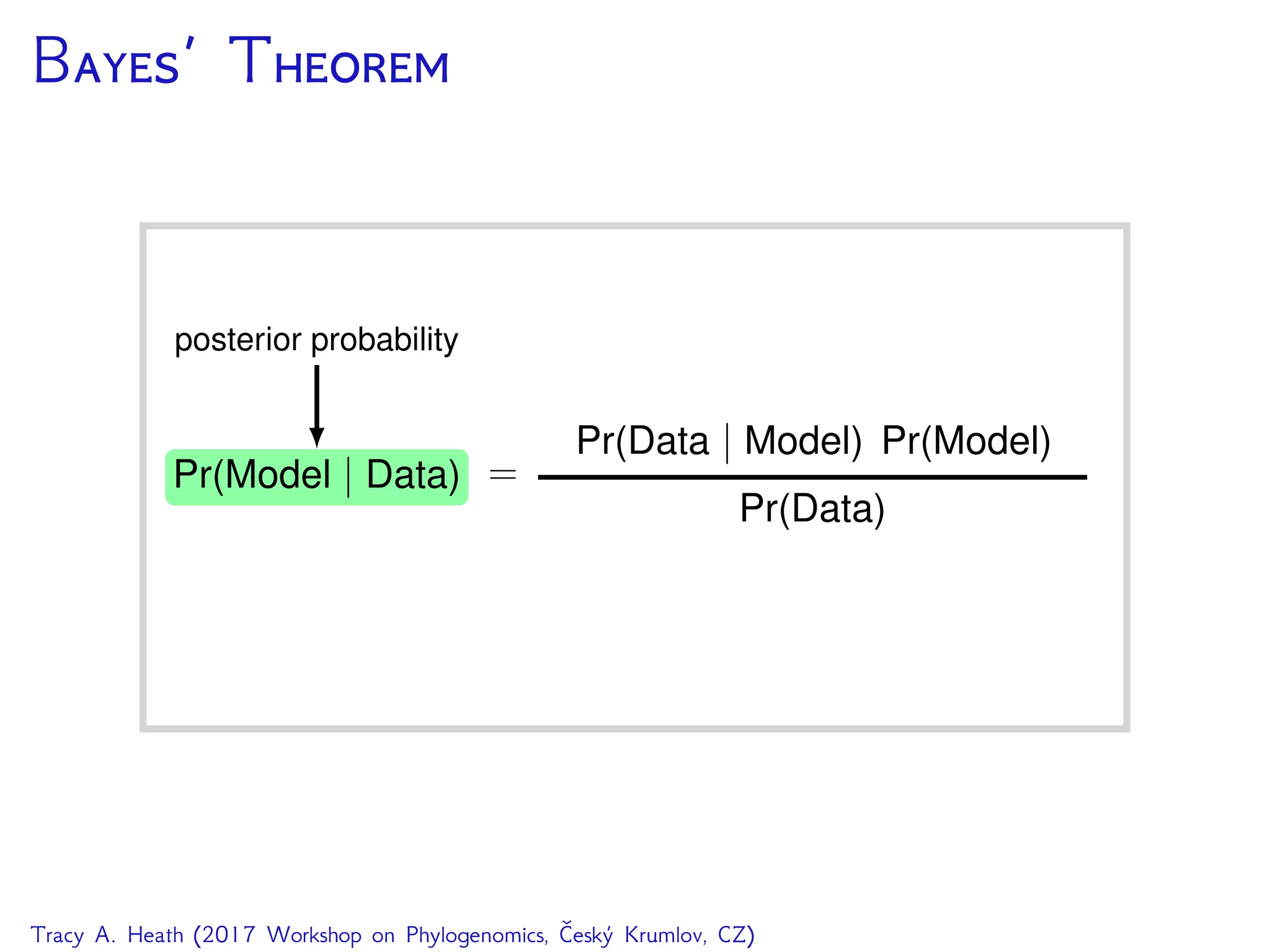 B’ T
Tracy A. Heath (2017 Workshop on Phylogenomics, Český Krumlov, CZ)
 
