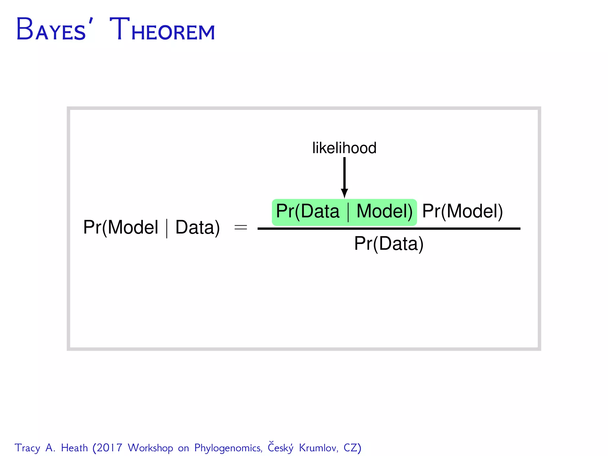 B’ T
Tracy A. Heath (2017 Workshop on Phylogenomics, Český Krumlov, CZ)
 