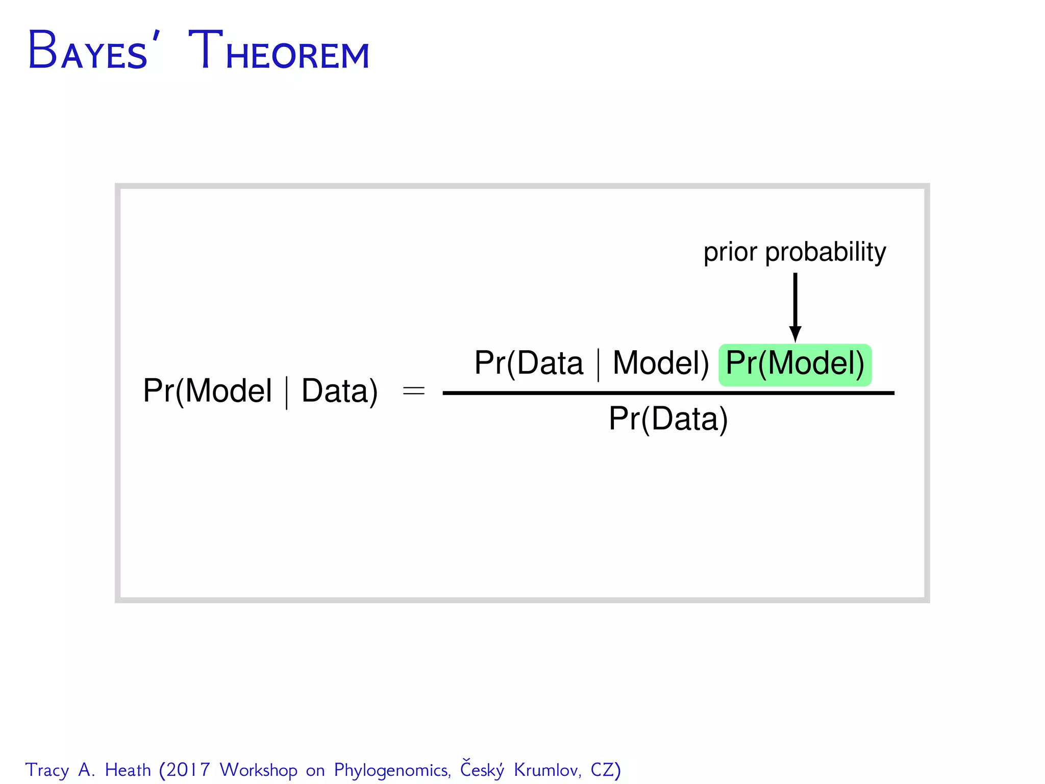 B’ T
Tracy A. Heath (2017 Workshop on Phylogenomics, Český Krumlov, CZ)
 