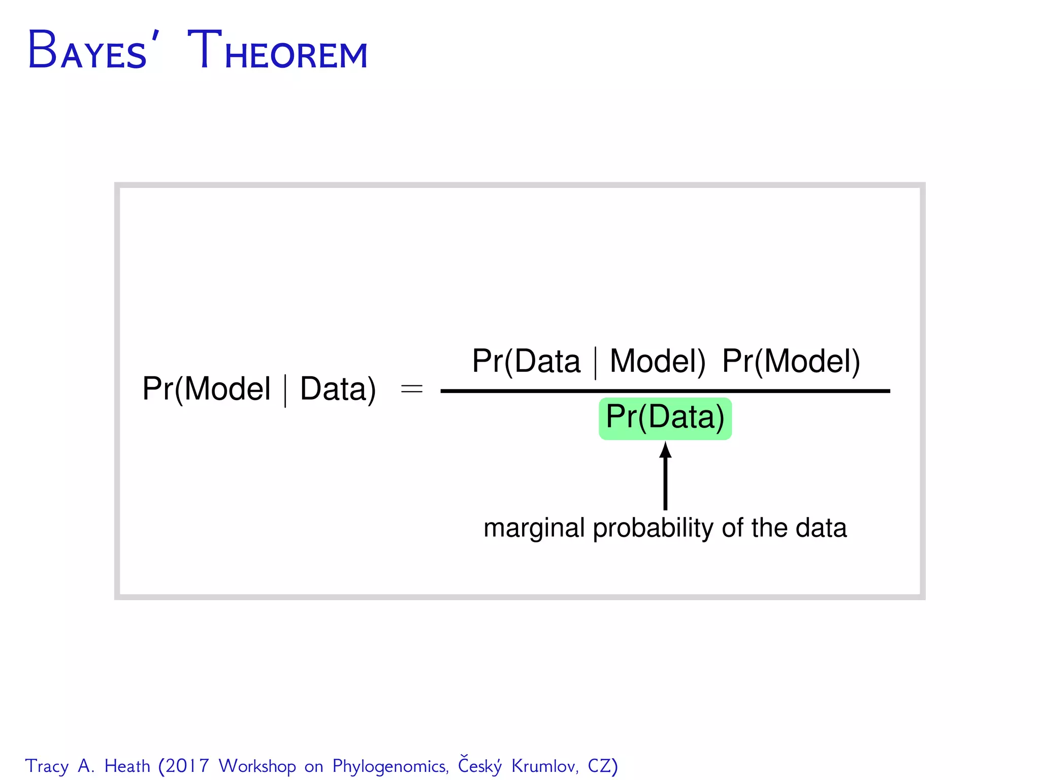 B’ T
Tracy A. Heath (2017 Workshop on Phylogenomics, Český Krumlov, CZ)
 