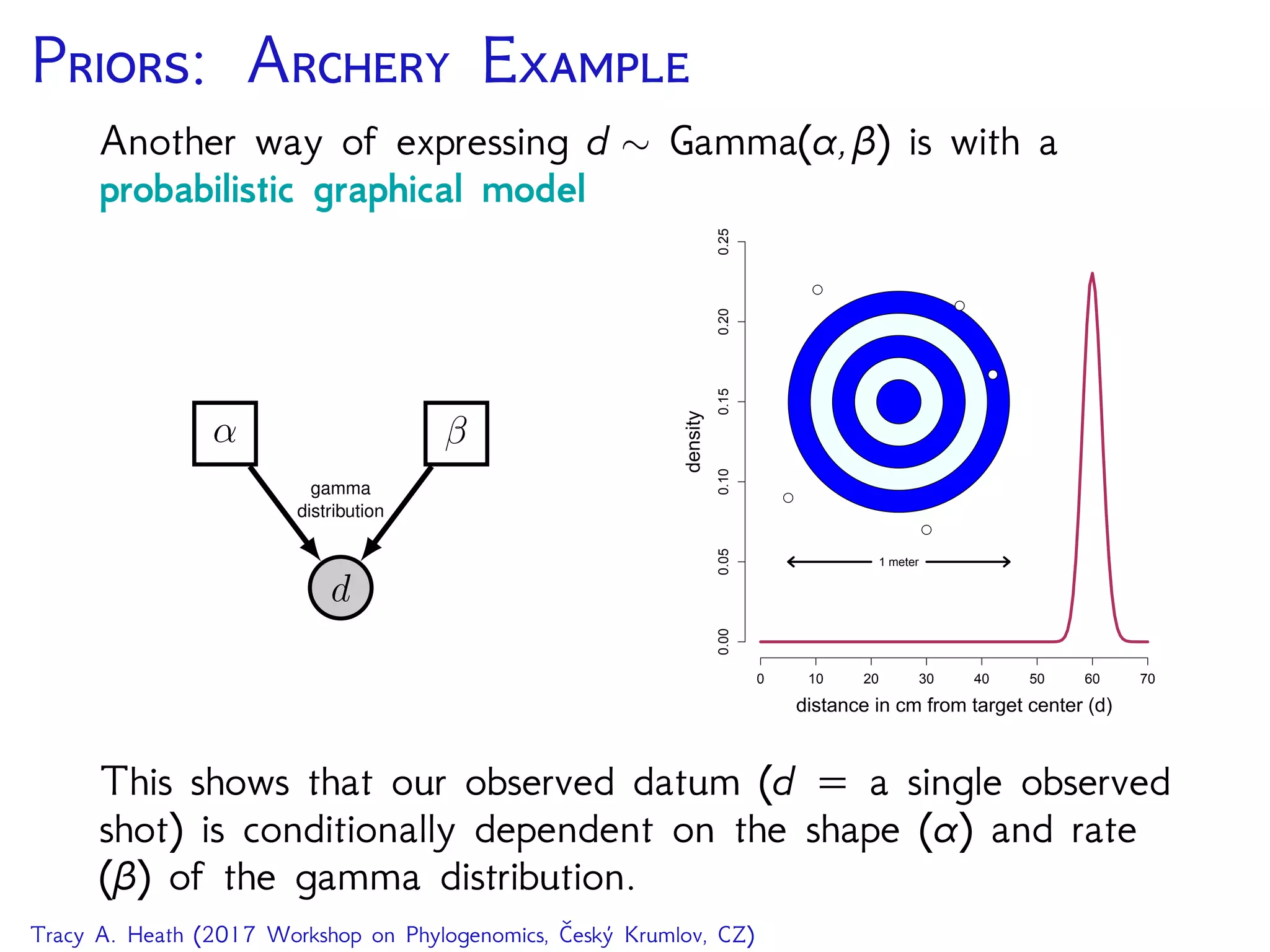 P: A E
Another way of expressing d ∼ Gamma(α,β) is with a
probabilistic graphical model
d
α β
gamma
distribution
0 10 20 30 40 50 60 70
0.000.050.100.150.200.25
distance in cm from target center (d)
density
1 meter
q
q
q
q
q
This shows that our observed datum (d a single observed
shot) is conditionally dependent on the shape (α) and rate
(β) of the gamma distribution.
Tracy A. Heath (2017 Workshop on Phylogenomics, Český Krumlov, CZ)
 