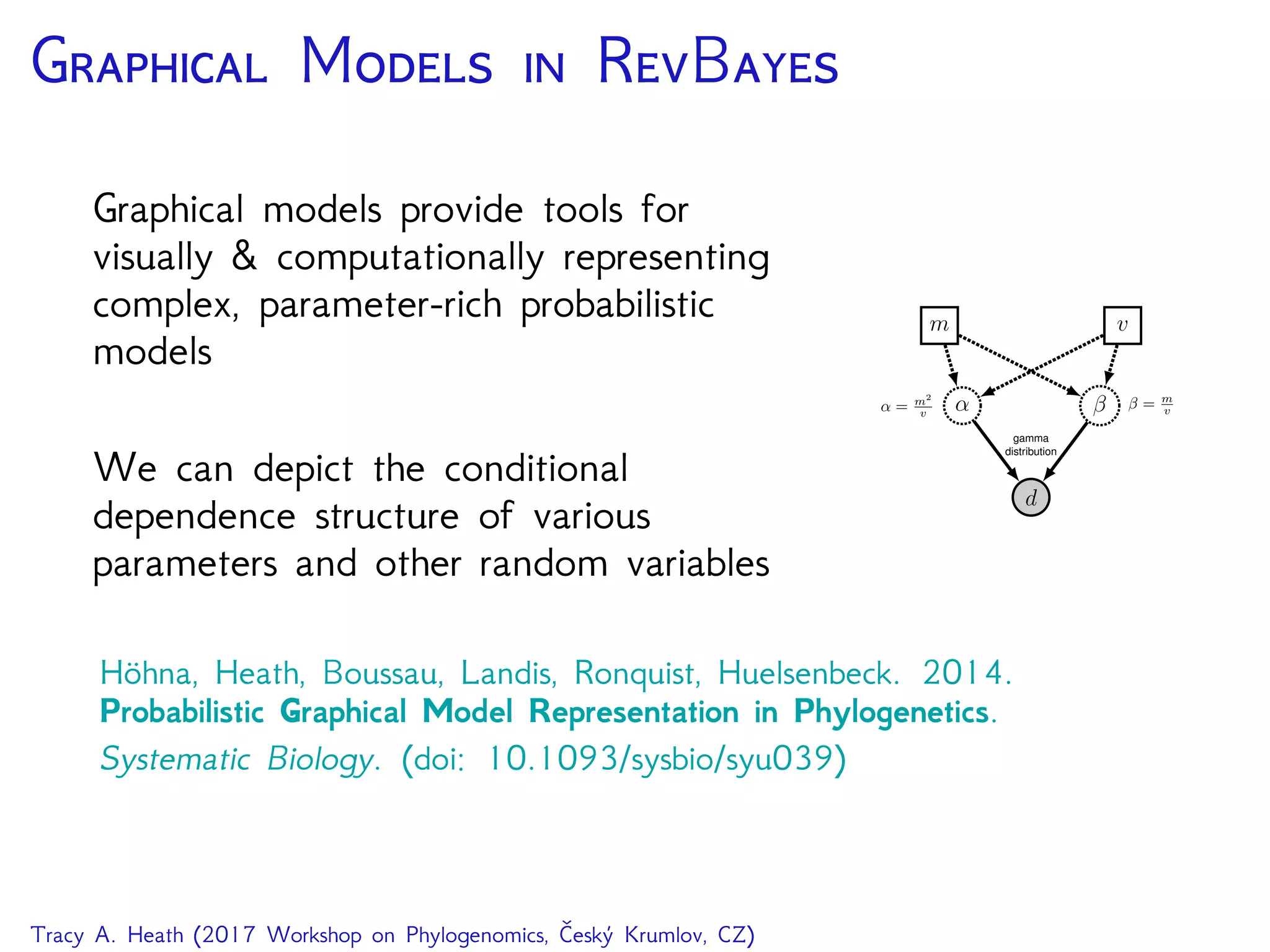 G M  RB
Graphical models provide tools for
visually & computationally representing
complex, parameter-rich probabilistic
models
We can depict the conditional
dependence structure of various
parameters and other random variables
d
α β
gamma
distribution
m v
β = m
vα = m2
v
Höhna, Heath, Boussau, Landis, Ronquist, Huelsenbeck. 2014.
Probabilistic Graphical Model Representation in Phylogenetics.
Systematic Biology. (doi: 10.1093/sysbio/syu039)
Tracy A. Heath (2017 Workshop on Phylogenomics, Český Krumlov, CZ)
 