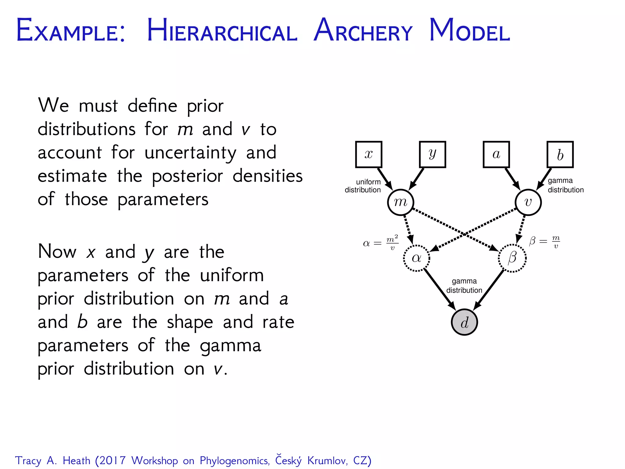 E: H A M
We must deﬁne prior
distributions for m and v to
account for uncertainty and
estimate the posterior densities
of those parameters
Now x and y are the
parameters of the uniform
prior distribution on m and a
and b are the shape and rate
parameters of the gamma
prior distribution on v.
d
α β
gamma
distribution
m v
β = m
vα = m2
v
x y a b
uniform
distribution
gamma
distribution
Tracy A. Heath (2017 Workshop on Phylogenomics, Český Krumlov, CZ)
 