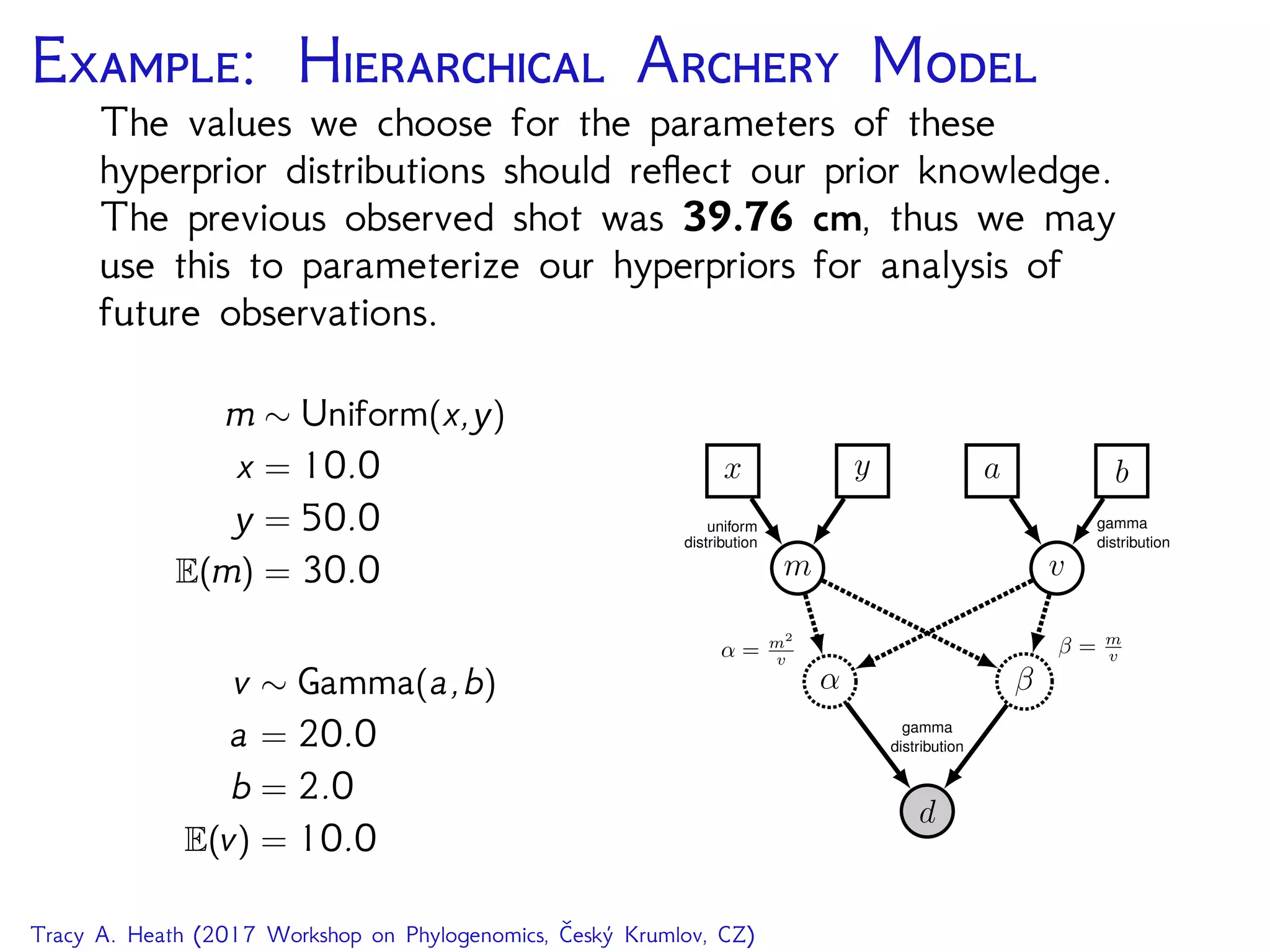 E: H A M
The values we choose for the parameters of these
hyperprior distributions should reﬂect our prior knowledge.
The previous observed shot was 39.76 cm, thus we may
use this to parameterize our hyperpriors for analysis of
future observations.
m ∼ Uniform(x,y)
x = 10.0
y = 50.0
E(m) = 30.0
v ∼ Gamma(a,b)
a = 20.0
b = 2.0
E(v) = 10.0
d
α β
gamma
distribution
m v
β = m
vα = m2
v
x y a b
uniform
distribution
gamma
distribution
Tracy A. Heath (2017 Workshop on Phylogenomics, Český Krumlov, CZ)
 